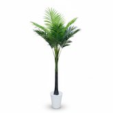 Artificial Botanical Coconut Palm Tree - 210cm (7ft)